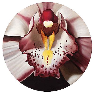 Orquídea