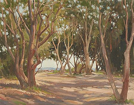 Dappled Light Through Trees, Sydney Harbour