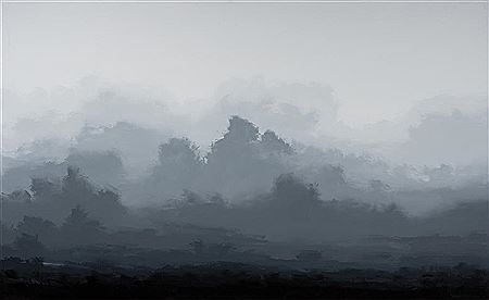 Morning at Robertson