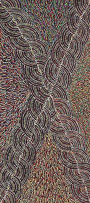 Bush Turkey