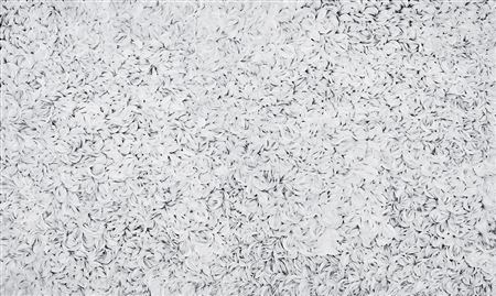 Bush Medicine Leaves by Margaret Scobie - Auction record, sale price, and art valuation. Compare with similar artists and explore comparable artworks.