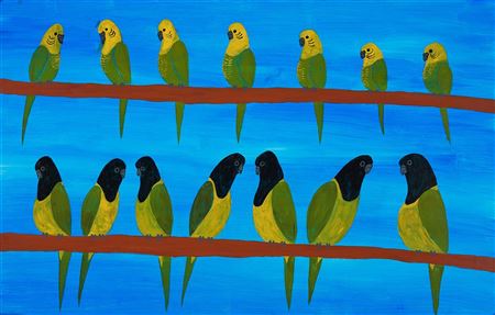 Budgies & Grass Parrots