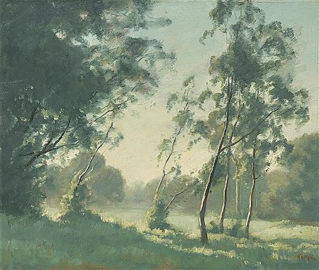 Wattles in The Morning Mist