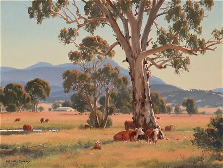 Kelvin Pastoral near Gunnedah