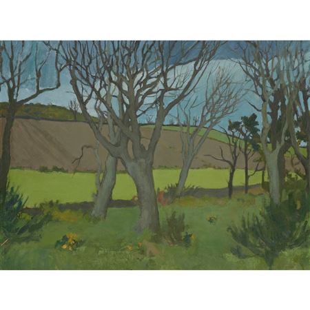 TREES AND PLOUGHED FIELDS