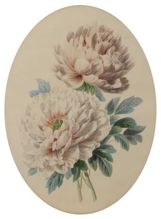 A study of two pale pink peonies by Valentine Bartholomew - Auction record, sale price, and art valuation. Compare with similar artists and explore comparable artworks.