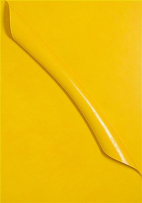 Senza nome, 2002