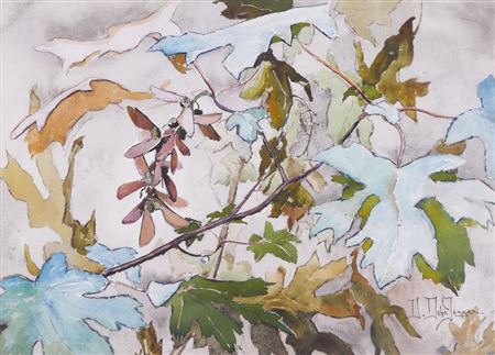 ''Maple Leaves''