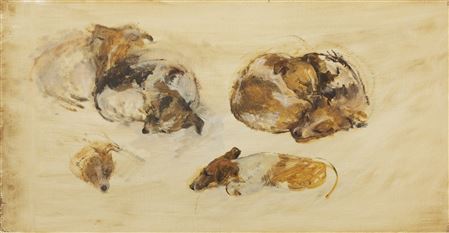 Study of jack russell terriers
