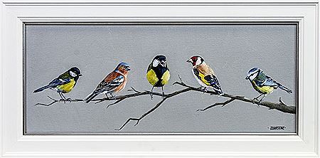 GREAT TIT GOSSIP