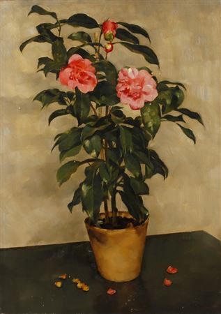 Magnolia