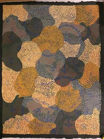 Lander River Willowra , 1999 by Malcolm Maloney Jagamarra - Auction record, sale price, and art valuation. Compare with similar artists and explore comparable artworks.