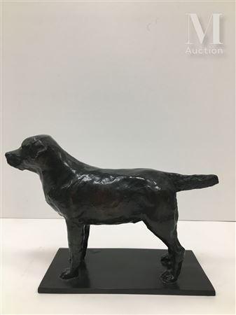 Standing Labrador