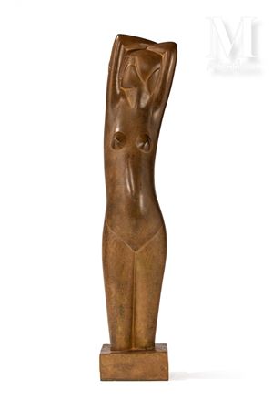 Torso