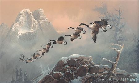 Canadian Geese