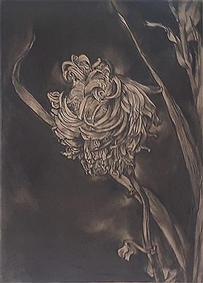 Flower in black background, 1922