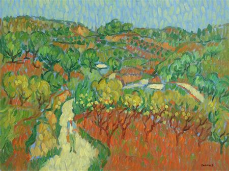 Afternoon in the Olive Grove