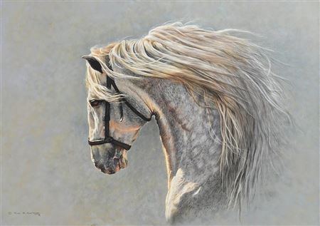 The Grey by Alan M Hunt - Auction record, sale price, and art valuation. Compare with similar artists and explore comparable artworks.