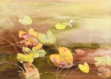 Waterlilies, Lough Fada