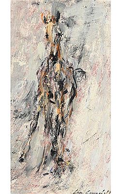 Young Foal