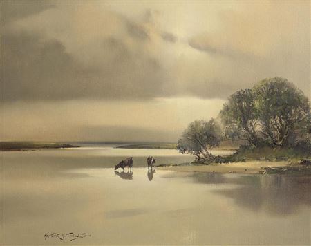 Calm Morning