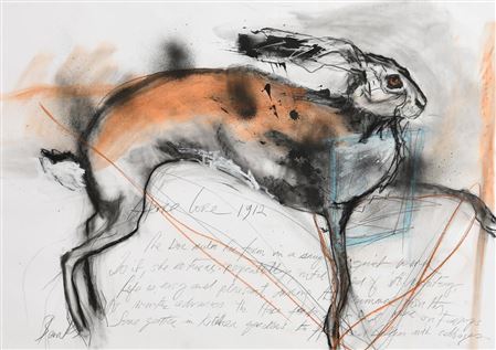Hare