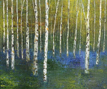 Birch and Bluebells