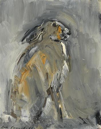 Grey Hare
