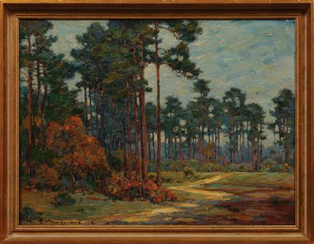 "St. Tammany Pines" 1914 by Ellsworth Woodward - Auction record, sale price, and art valuation. Compare with similar artists and explore comparable artworks.