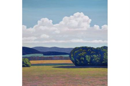 Danube clouds. 2013