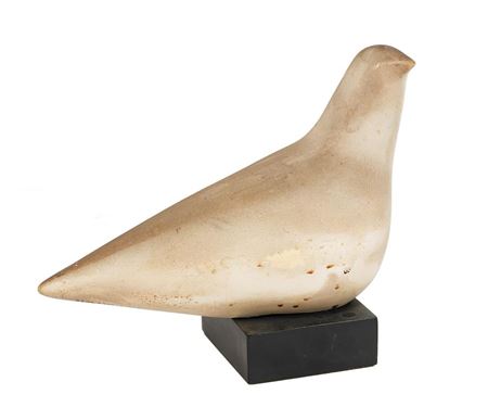 "Dove"