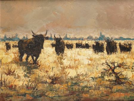 Les taureaux en Camargue