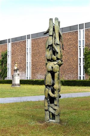 The cypress in the courtyard