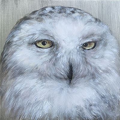 Little Snowy Owl by Ágnes Verebics - Auction record, sale price, and art valuation. Compare with similar artists and explore comparable artworks.