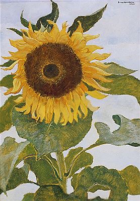 Sonnenblume vor Sommerhimmel