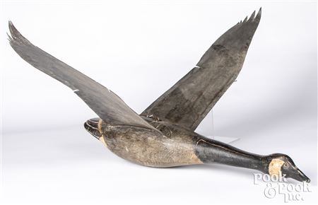 Flying Canada Goose