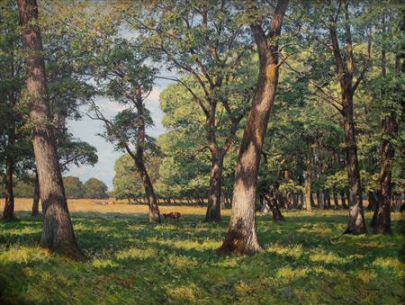 Deer grazing in an oak forest.