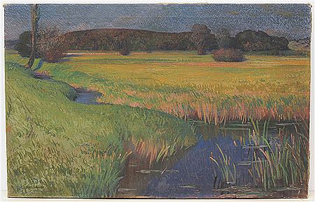 Paysage de roseaux avec un ruisseau.