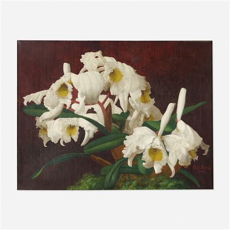 Orchids