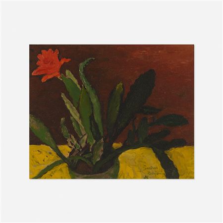 Cacti in Bloom