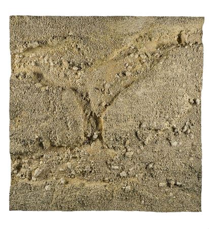 Coral Quarry Triptych, 2001-02; by Boyle Family - Auction record, sale price, and art valuation. Compare with similar artists and explore comparable artworks.