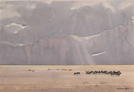 Bushveld Landscape with Zebra