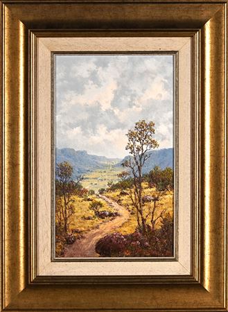 Savanah Landscape with Valley