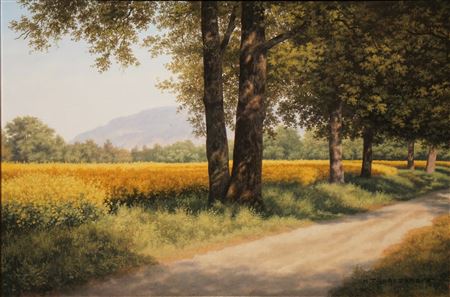 Path of the Geneva countryside in spring