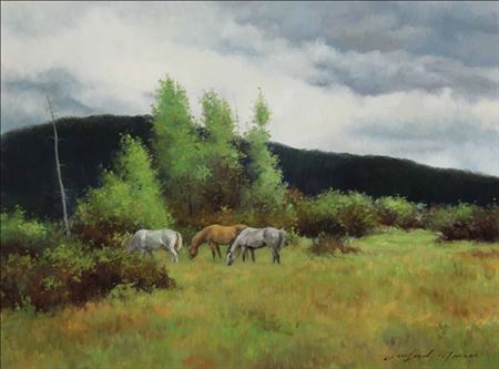 Yampa Valley Spring