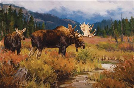 Moose at Vermillion Lakes