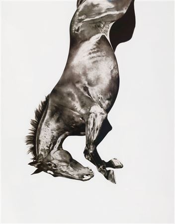 Spring / Fall II 2004 by Michael Zavros - Auction record, sale price, and art valuation. Compare with similar artists and explore comparable artworks.