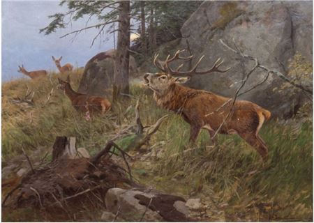 Landscape with a group of deer