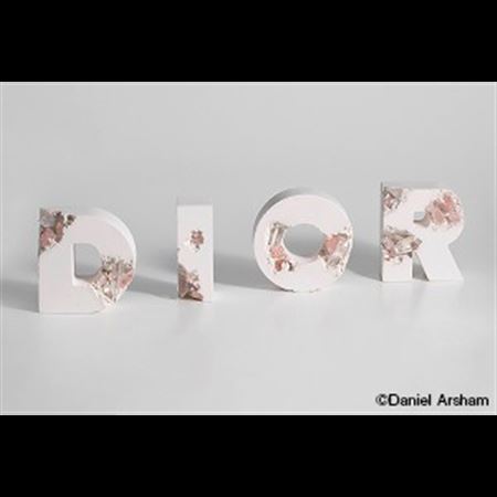 Future Relic D.I.O.R. Eroded Letters