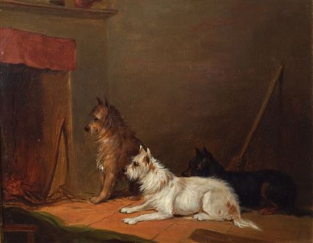 Three dogs by a fire